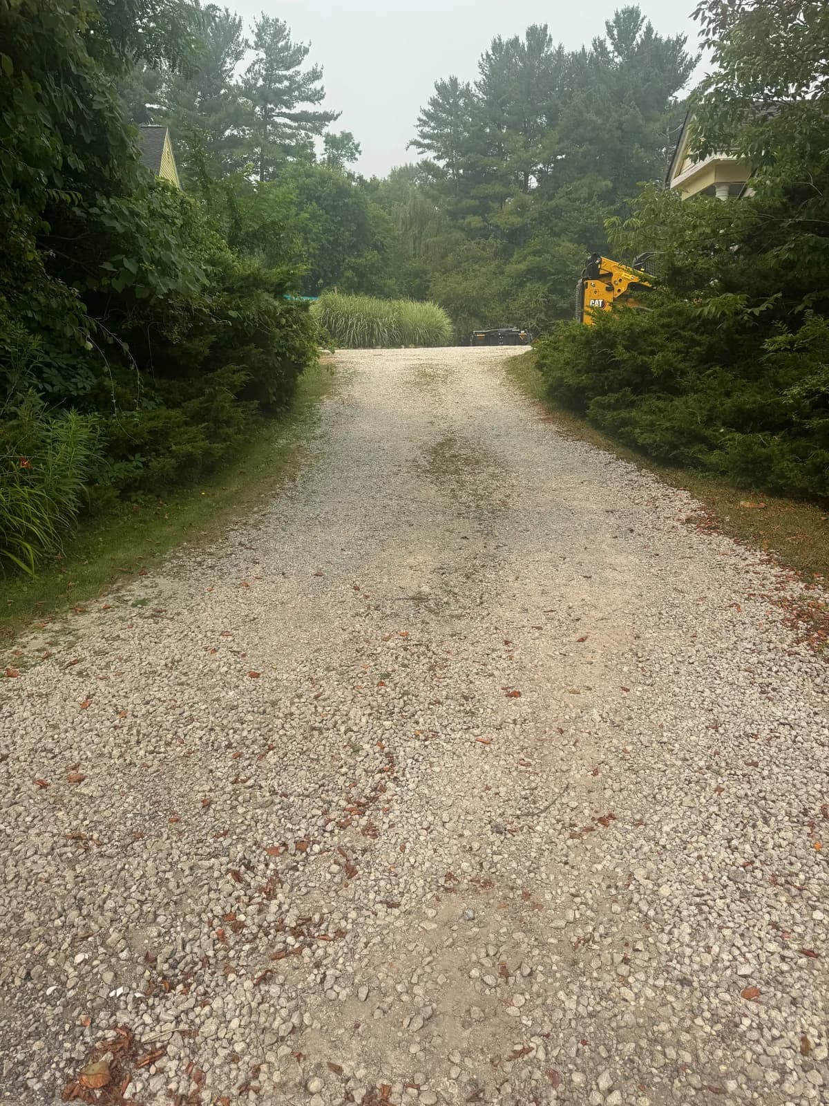 Tree-lined gravel driveway before GravelBoss work: worn down the centre, with bare patches, thin mixed stone and fallen leaves