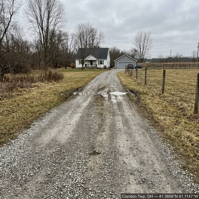 Before: Light crown loss after winter — Claridon Township, Geauga County